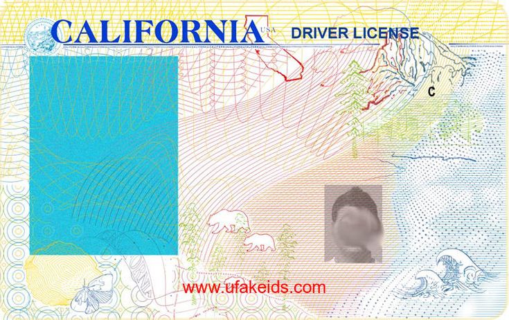california id card template free download psd